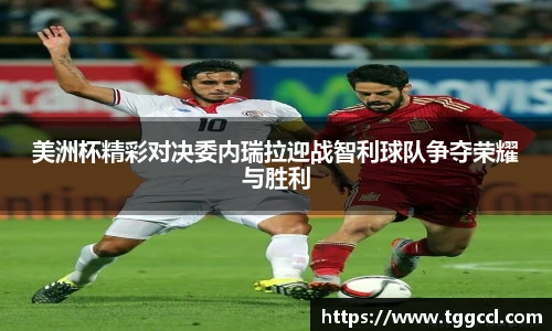 bsports官网入口