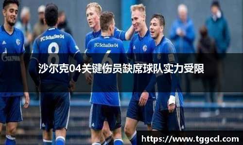 沙尔克04关键伤员缺席球队实力受限