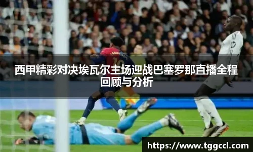 bsports官网入口