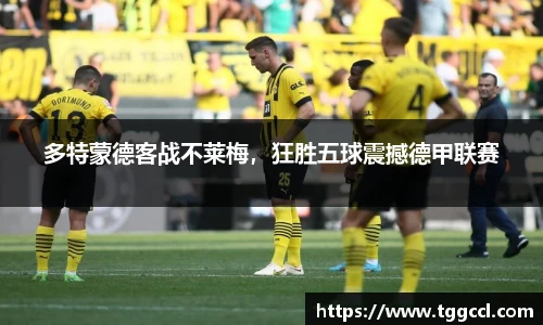 bsports官网入口