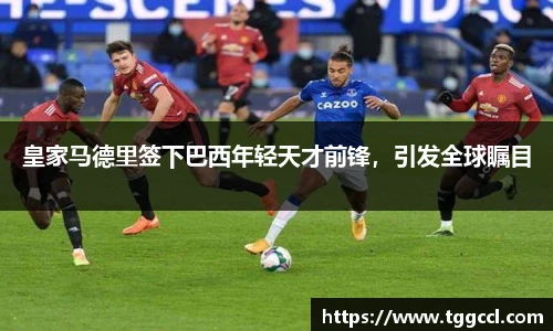 B体育bsports