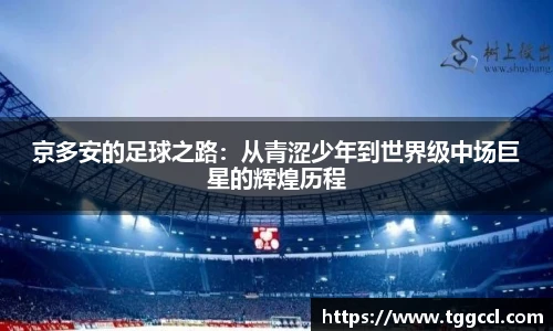 bsports官网