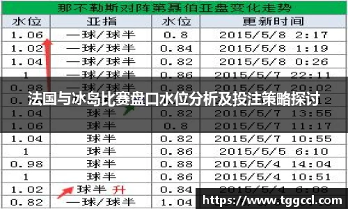 法国与冰岛比赛盘口水位分析及投注策略探讨