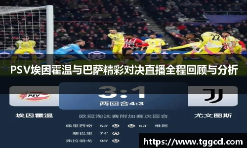 bsports官网入口