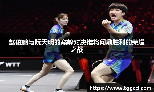 bsports官网入口
