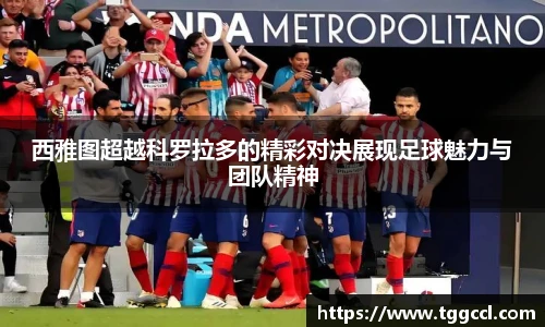 B体育官网