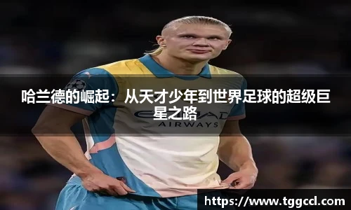 bsports官网