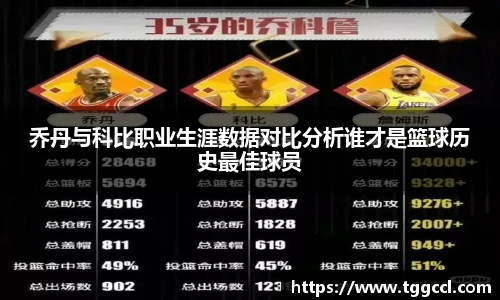 B体育bsports