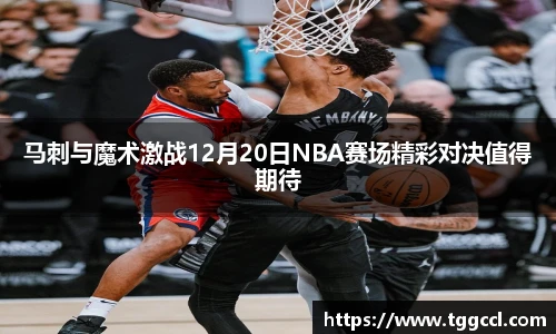 B体育bsports