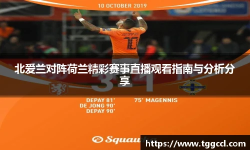 bsports官网入口