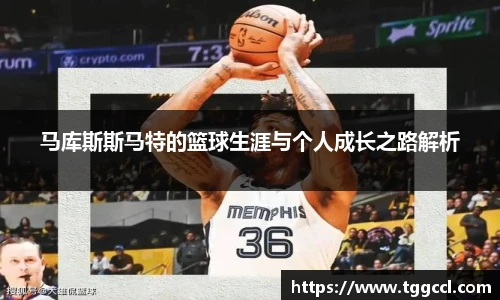 B体育bsports